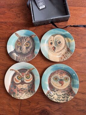 Set of 4 Decorative Owl Plates